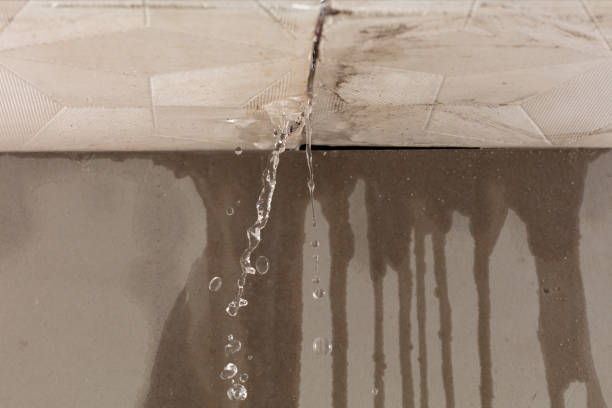 Professional Water Damage Inspection technician working in Morgantown, WV